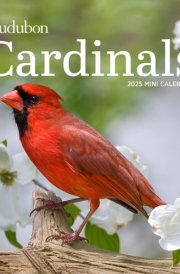 Audubon Cardinals Mini Wall Calendar 2025 cover image