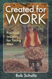 Created For Work: Practical insights for young men cover image