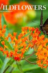Wildflowers | 2025 7 x 14 Inch Monthly Mini Wall Calendar | BrownTrout | Flower Outdoor Plant cover image