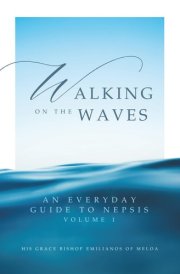 Walking on the Waves: An Everyday Guide To Nepsis cover image