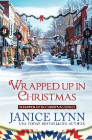Wrapped Up in Christmas cover image