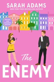 The Enemy A Novel cover image