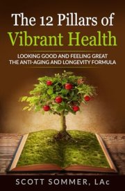 The 12 Pillars of Vibrant Health Looking Good and Feeling Great... The Anti-Aging and Longevity Formula cover image