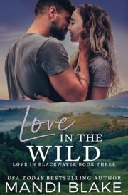 Love in the Wild A Small Town Christian Romance cover image