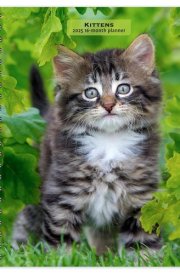 Kittens | 2025 6 x 7.75 Inch Spiral-Bound Wire-O Weekly Engagement Planner Calendar | New Full-Color Image Every Week | BrownTrout | Animals Cats Pets cover image