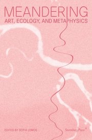 Meandering Art, Ecology, and Metaphysics cover image