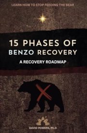 15 Phases of Benzo Recovery: A Recovery Roadmap cover image