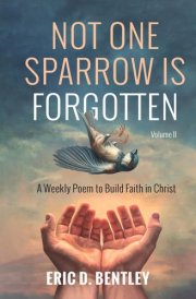 Not One Sparrow is Forgotten, Volume II cover image