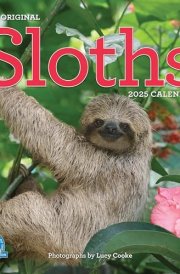 Original Sloths Wall Calendar 2025: The Ultimate Experts at Slowing Down cover image