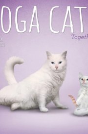 Yoga Cats Together OFFICIAL | 2025 12 x 24 Inch Monthly Square Wall Calendar | Plato | Animals Humor Pets cover image