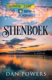 Stienboek cover image