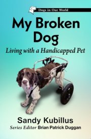 My Broken Dog Living with a Handicapped Pet cover image