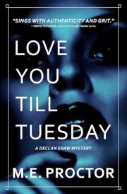 Love You Till Tuesday cover image