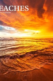 Beaches | 2025 7 x 14 Inch Monthly Mini Wall Calendar | BrownTrout | Travel Nature Tropical cover image