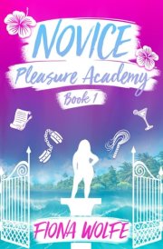 Novice A Steamy Contemporary Rom Com cover image