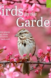 Audubon Birds in the Garden Wall Calendar 2025: Use Native Plants to Attract Birds and Pollinators to Your Backyard cover image