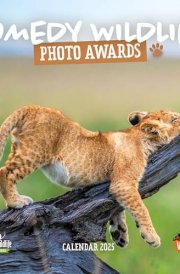 Comedy Wildlife Photography Awards Square Wall Calendar 2025 cover image