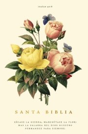 Santa Biblia cover image