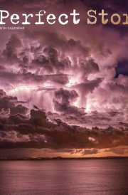 A Perfect Storm | 2025 12 x 24 Inch Monthly Square Wall Calendar | Foil Stamped Cover | Plastic-Free | BrownTrout | Worldwide Weather cover image