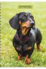 Dachshunds 2025 6 X 7.75 Inch Spiral-Bound Wire-O Weekly Engagement Planner Calendar New Full-Color Image Every Week cover image
