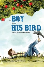 A Boy And His Bird A Story of True Friendship cover image