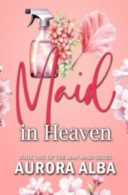 Maid in Heaven Book One of the Man Maid Series cover image