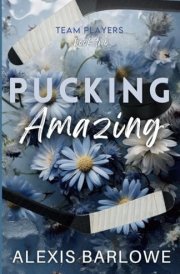 Pucking Amazing: A Why Choose Hockey Romance (Team Players) cover image