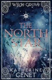 The North Star cover image