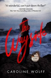 The Wayside cover image