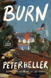 Burn A novel cover image