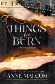 Things We Burn: A Small Town Sports Romance (Jupiter Tides) cover image