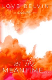 In the Meantime... cover image