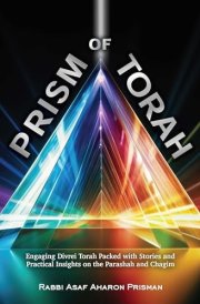Prism of Torah cover image