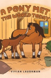 A Pony Met the World Today cover image