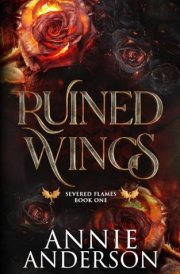 Ruined Wings cover image