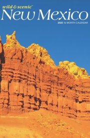 New Mexico Wild & Scenic | 2025 12 x 24 Inch Monthly Square Wall Calendar | Plastic-Free | BrownTrout | USA United States of America Southwest State Nature cover image