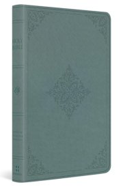 ESV Value Thinline Bible (TruTone, Paris Sky, Fleur-De-lis Design) cover image