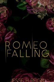 Romeo Falling: Alternate Cover cover image