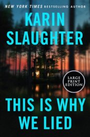 This Is Why We Lied A Will Trent Thriller cover image