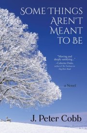 Some Things Aren't Meant to Be A Novel cover image