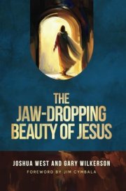 The Jaw-Dropping Beauty of Jesus cover image