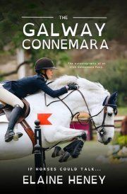The Galway Connemara | The Autobiography of an Irish Connemara Pony - Dyslexia Friendly cover image