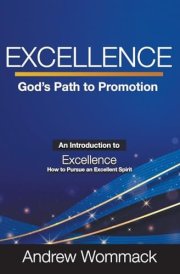 Excellence God's Path to Promotion cover image