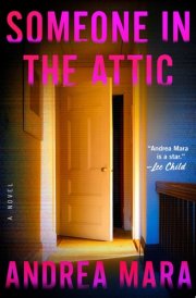 Someone in the Attic A Novel cover image