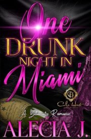 One Drunk Night In Miami A Billionaire Romance: An African American Romance cover image