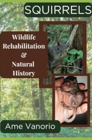 Squirrels Wildlife Rehabilitation and Natural History cover image