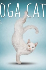 Yoga Cats Official 2025 12 X 24 Inch Monthly Square Wall Calendar Plastic-Free cover image