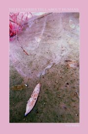 Tales Faeries Tell About Humans cover image