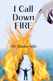 I Call Down Fire cover image