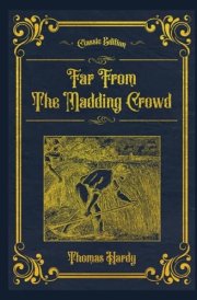 Far from the Madding Crowd: With original illustrations - annotated cover image